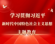 学习贯彻习近平新时代中国特色社会主义思想主题教育