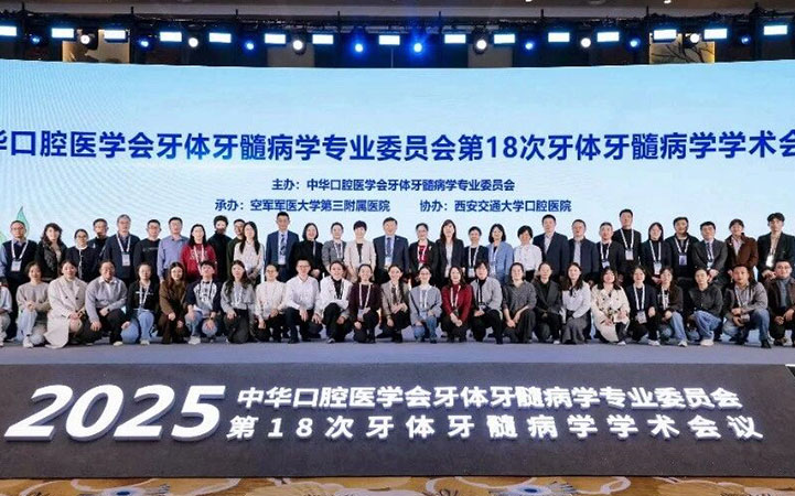 学术交流展风采,牙体牙髓团队参加2025中华口腔医学会牙体牙髓病学学术会议